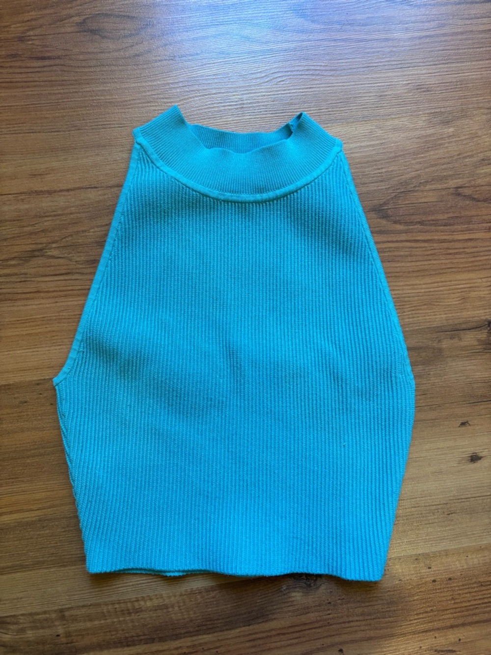 Babaton Aritzia Sculpt Knit Cropped High Neck Tank - Teal